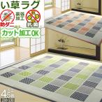い草 ラグ ミニ 4.5畳 230×230cm オールシーズン 防ダニ 抗菌 天然素材 ホットカーペット対応 クール 正方形 裏張り 四畳半 本州/四国=送料無料 / 松山 /