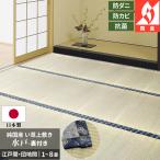 い草 カーペット 4.5畳 裏付き 江戸間 約261×261cm 団地間 約255×255cm 上敷き 純国産 無地 抗菌 消臭 防炎 正方形 カット加工 本州四国は送料無料 / 水戸 /