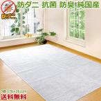 カーペット ラグ 3畳 176×261cm 在庫限り ホットカーペット対応 ラグマット 抗菌 防臭 防ダニ カットパイル 三畳 送料無料/本州四国 / MLC白 /