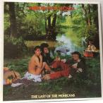 洗浄済 12inch Bow Wow Wow The Last Of The Mohicans カナダ盤