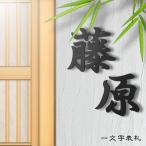 表札 おしゃれ 戸建て ステンレス アイアン 二世帯 切り文字 二世帯 アイアン風ステンレス表札(一文字表札・漢字)(iron-np10)