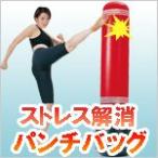 パンチバッグ　ストレス解消　パンチ、キックでストレス解消！