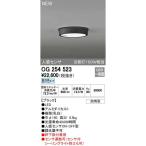 オーデリック ODELIC OG254523 LEDポーチライト 昼白色 人感センサ付 軒下取付専用 PLATE 防雨型