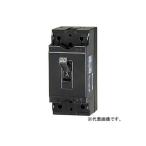テンパール工業 B-1EA 10A 安全ブレーカ B1EA10A