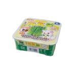 petio4903588320019 кошка. изначальный ..Petioyamahisa кошка. изначальный .. кошка домашнее животное ...