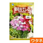  срезанный цветок .... река . специальный отбор смешивание ( вид :utane)