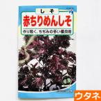  красный крепдешин ..( вид :utane). покупка 