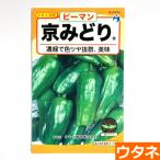  столица ...( зеленый перец )( вид :utane)