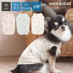 犬 服 iDog COOL Chill テディベアタンク 接触冷感 アイドッグ メール便OK