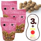 ドッグフード ドットわん 鶏ごはん 500g×3袋 国産おやつおまけ付き ラッピング不可