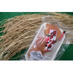  небо день . холод .. разница ....., природа . конструкция выставлять![ Fukushima производство ... хурма ( пчела магазин хурма )1 упаковка примерно 230g(3~6ko)×8 входить комплект ×1 коробка ]