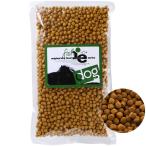 無添加 国産 ドッグフード イー・フィッシュ メンテナンスタイプ 魚「400g」 子犬~成犬用 visionsオリジナル