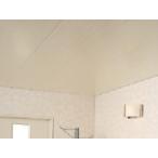 fk viva s panel EX автобус panel EX слон ge цвет 1 цубо входить * прямая поставка / оплата при получении не возможно / Okinawa * отдаленный остров рассылка не возможно 