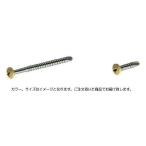 (メール便) タカショー TB-19R スーパードリルネジ 4×19 (レッドウッド)