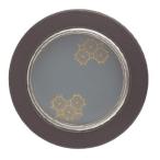 TUKIESU есть es flat поверхность . рука S-310 средний небо серебряный чёрный flat поверхность .no глаз черепаха .1 шт 