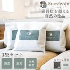 Sumicolo スミコロ 4l 3個セット 当店オリジナル商品 除湿剤 湿気取り 繰り返し 半永久 結露 結露防止 結露対策 除湿 繰り返し使える除湿剤 炭 消臭 湿気