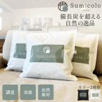 Sumicolo スミコロ 4l 1個 お試し 当店オリジナル商品 除湿剤 湿気取り 繰り返し 半永久 結露 結露防止 結露対策 除湿 繰り返し使える除湿剤 炭 消臭 湿気
