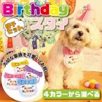 犬用スタイ 誕生日 帽子セット 犬 猫 グッズ ハッピーバースデー よだれかけ お祝い 写真 撮影 コスプレ 洋服 可愛い ペットグッズ 小型犬 スタイ 首掛け 犬用品