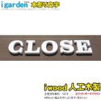 アイウッド木彫り文字　選べる2色　[5文字]　文字種は備考へ　igardenオリジナル|　アルファベット＆数字　H60mm　代引不可