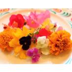 Yahoo! Yahoo!ショッピング(ヤフー ショッピング)食用花 エディブルフラワー 鮮度抜群 新潟県産 産地おまかせパック（約２０輪入り） ５〜７品種 食卓に華やかさと彩り ギフト 高い栄養価 クール便