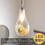 ペンダントライト LED おしゃれ 天井照明 北欧 E17 吊り下げ 電球付き 花 デコレーションガラス グリーンセット S C-F-1
