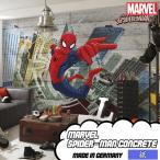 壁紙 スパイダーマン 張り替え 自分で クロス Diy おしゃれ 輸入壁紙 Marvel Spider Man Concrete 8 467 紙製 Kgerd010 壁紙 Diyインテリア通販 イゴコチ 通販 Yahoo ショッピング