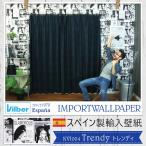 壁紙 ポスター モノクロ おしゃれ 輸入壁紙 スペイン Vilber Trendy トレンディ 幅68cm×10m 1本 不織布 フリース C-F-1