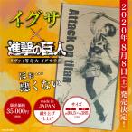 進撃の巨人 リヴァイ 等身大 イグサラグ い草 タペストリー 壁掛け マット 畳 ゴザ 講談社監修 グッズ コレクション 収集