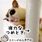 小動物用ステージ、ステップ