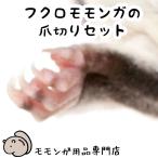 フクロモモンガの爪切りセット ニッパータイプの爪切り 爪が見やすい黒軍手 両手が使えるメガネ型拡大ルーペの3点セット 爪とぎ つめきり フクモモ 爪切り
