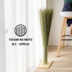 観葉植物 室内 インテリア オブジェ 置物 TATAMI NO MOTO 透明花瓶セット い草 おしゃれ 調湿 消臭 国産 和風 大きい イ草 消臭 自然 ナチュラル エコ