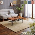 ラグ 洗える ラグマット おしゃれ カーペット 3畳 プリーム 約200×250cm ミックスパイル ホットカーペット対応 カバー