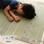 い草シーツ 国産 寝ござ シングル すずね -八代産- 約88×180cm 寝茣蓙 イ草 井草 イグサ 夏寝具 天然素材 汗取り おしゃれ IB-tm