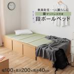 ショッピングい草 ベッド 段ボールベッド 段ボール畳ベッド シングル ダンボールベッド 一人暮らし 組み立て簡単 簡易ベッド 畳ベッド 畳マットレス ベット 来客用
