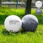 ビーチボール 43cm プール用 SWIMMING BALL スイミング ボール フロート 水遊び シンプル モノトーン おしゃれ プール 海 川 ビーチ キッズ 子ども