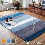 ラグ 洗える カーペット ラグマット 3畳 200×250cm おしゃれ ホットカーペットカバー コージー ホットカーペット対応 フランネル