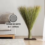 ショッピング置物 観葉植物 室内 インテリア オブジェ 置物 TATAMI NO MOTO い草 おしゃれ 調湿 消臭 国産 九州産 和風 イ草 消臭 自然 ナチュラル 自然素材 エコ