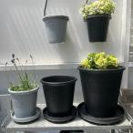 a-bru eko pot круглый 5 номер серый черный посадочная машина pot 