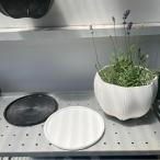 Sen Roly Potssen plate грузовик pot для белый черный посадочная машина pot 