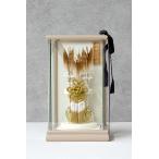  поломка . смычок 6 номер . поломка . смычок полный комплект [DC-4215]