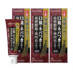 サンスター薬用塩ハミガキ 当帰の力 スパイシーミントの香味 85g 3個