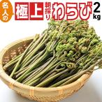 早い者勝ち 山形県飯豊町産わらび名人の 極上朝採りわらび 2kg 東北関東送料無料 飯豊連峰 の奥深くが産地ご予約順にお送りいたします