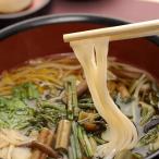【送料無料】稲庭うどん 眞壁屋 秋田名産 秋田おばこ稲庭うどん 10人前 レターパックプラス 代引き不可 東北 ご当地グルメ