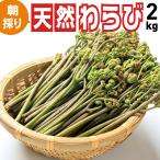 ショッピング比較 天然山菜わらび【朝採り天然わらび2kg】山形県朝日連峰〜飯豊連峰産ワラビ 東北・関東送料無料 クール便