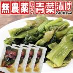 柿渋散布の天然農薬栽培「青菜漬け