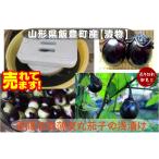山形県置賜名物 薄皮丸茄子 なす ナス 柿渋散布の天然農薬栽培 朝採り発送 生1kg クール便 東北関東送料無料