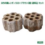 ショッピングレンガ オブジェ ガーデニング レンガ 置き物 アンティーク はちの巣レンガ イエローブラウン2個  送料込セット（北海道＋送料300円）庭 花壇 ガーデン おしゃれ 煉瓦