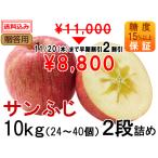 「サンふじ」贈答用 10kg(2段詰め)24〜40個（糖度15%以上保証）送料込み【岩木山麓フルーツファーム】