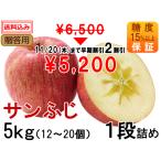 「サンふじ」贈答用 5kg(1段詰め)12〜20個（糖度15%以上保証）送料込み【岩木山麓フルーツファーム】