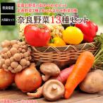 野菜詰め合わせ 野菜セット 野菜 国産 奈良 野菜13種類 詰め合わせ 冷蔵便